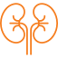 Nephrology & Dialysis