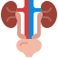 Urology
